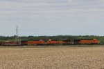 BNSF 5877 6631 4295